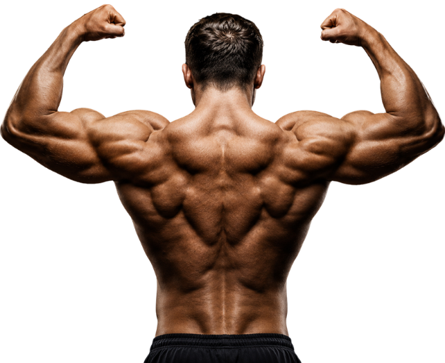  Apex Fitness in Delhi