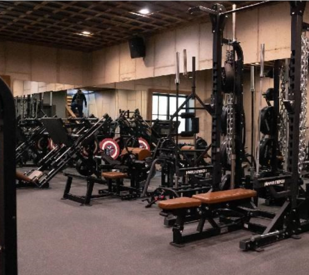 Commercial Gym Equipment Manufacturer in India