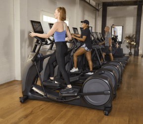 Commercial Gym Equipment Supplier in India